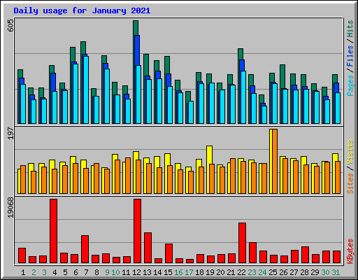 Daily usage for January 2021