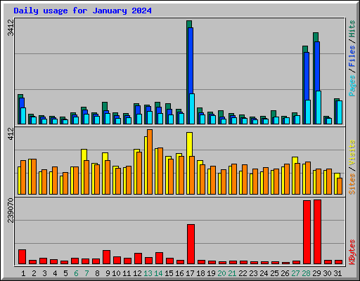 Daily usage for January 2024