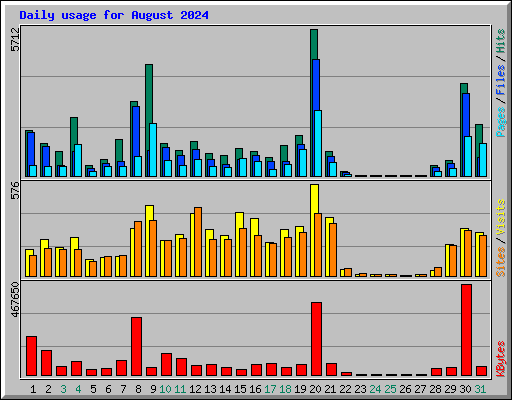 Daily usage for August 2024