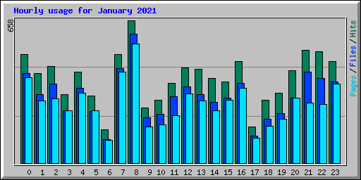 Hourly usage for January 2021