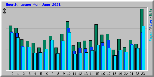 Hourly usage for June 2021