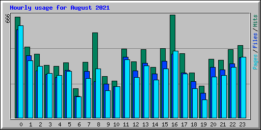 Hourly usage for August 2021