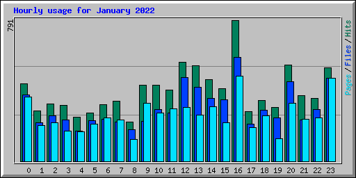 Hourly usage for January 2022