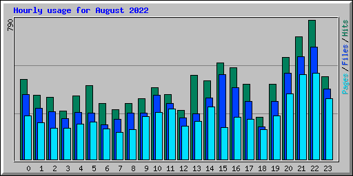 Hourly usage for August 2022