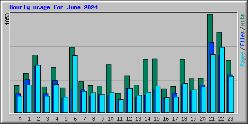 Hourly usage for June 2024