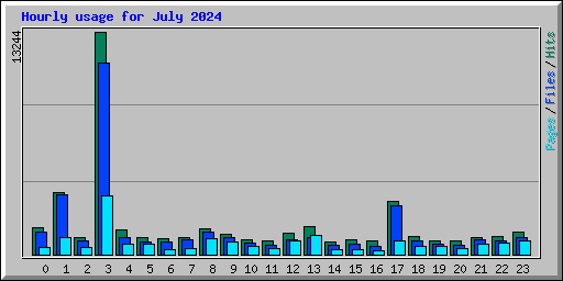 Hourly usage for July 2024