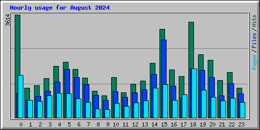 Hourly usage for August 2024