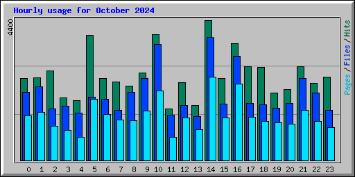 Hourly usage for October 2024